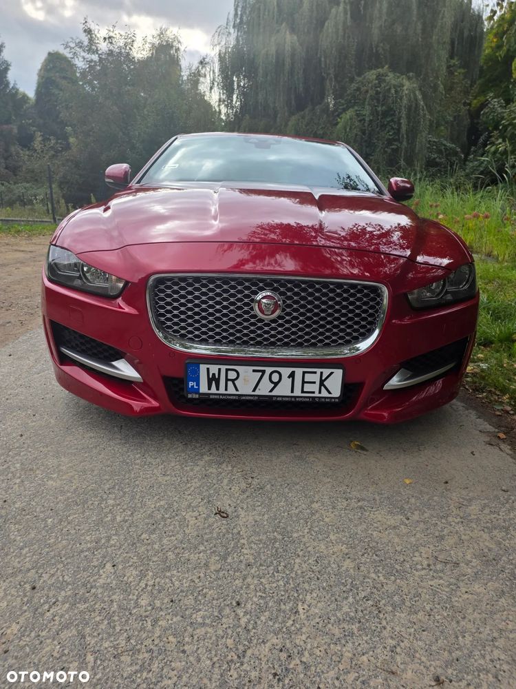 Jaguar XE E-Performance R-Sport - 2