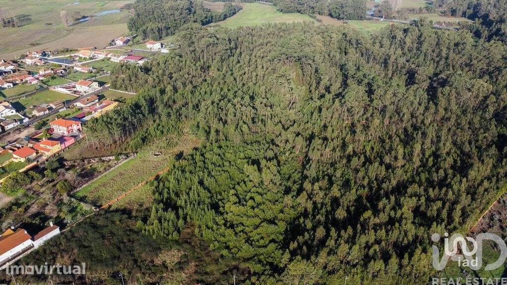 Terreno em Beduído e Veiros - Grande imagem: 2/6