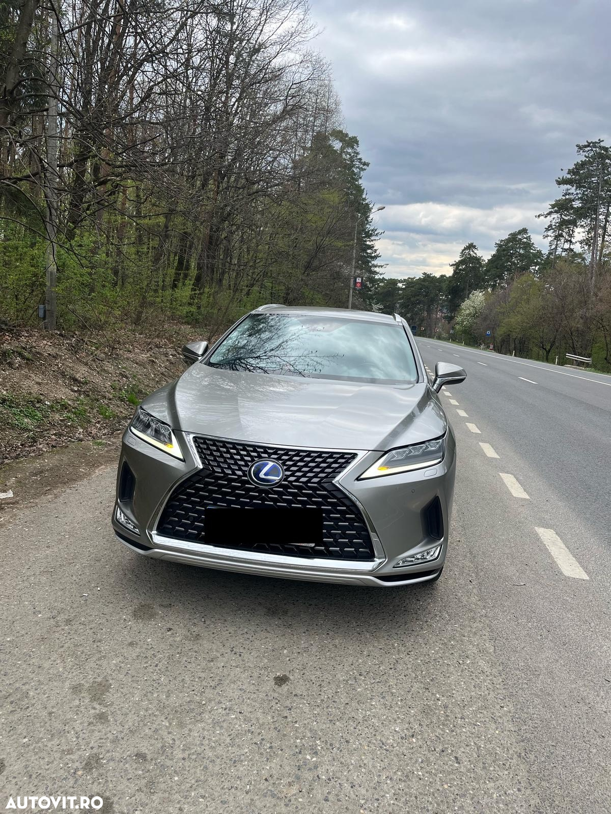 Lexus Seria RX - 5