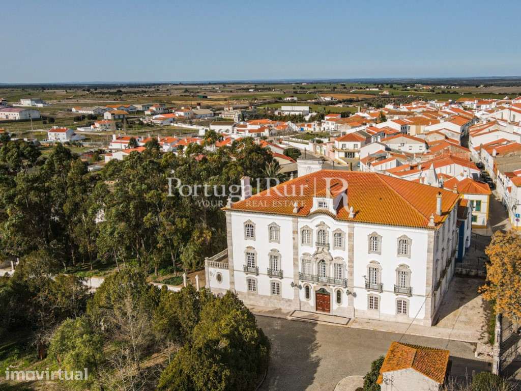 Quinta com cerca de 11 ha com magnífico Palácio - Grande imagem: 5/60