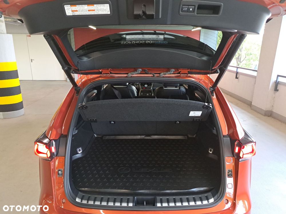 Lexus NX 300h F Sport Edition AWD - 14