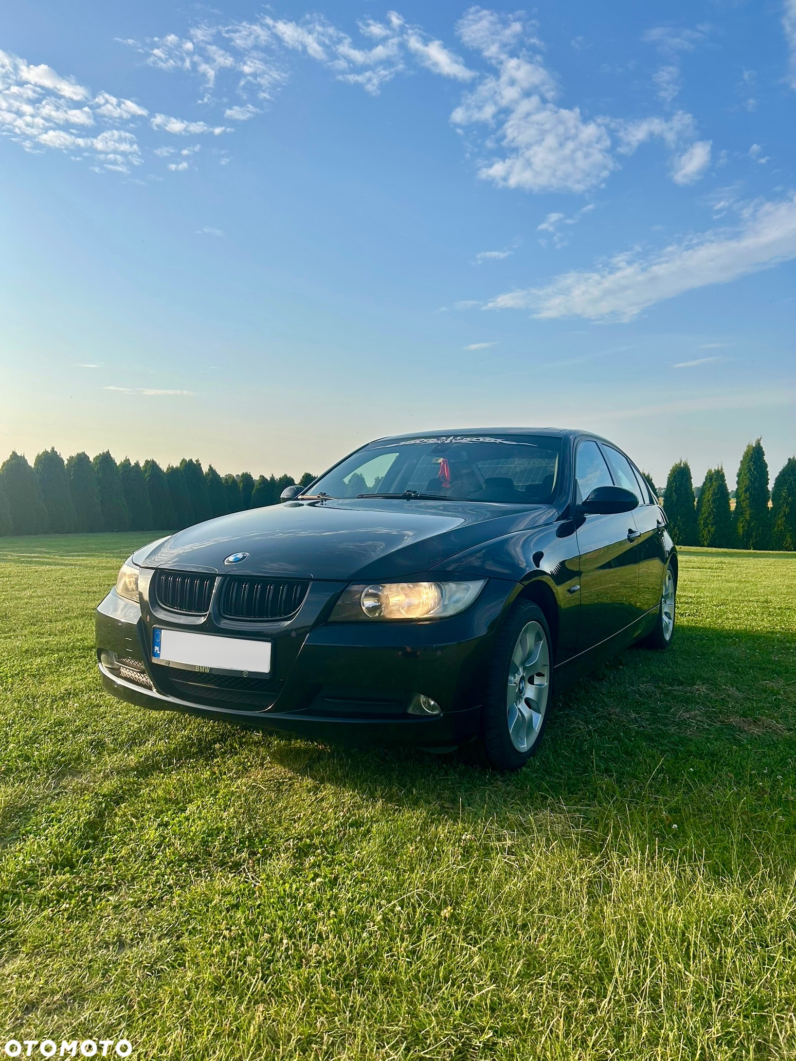 BMW Seria 3 318i - 5