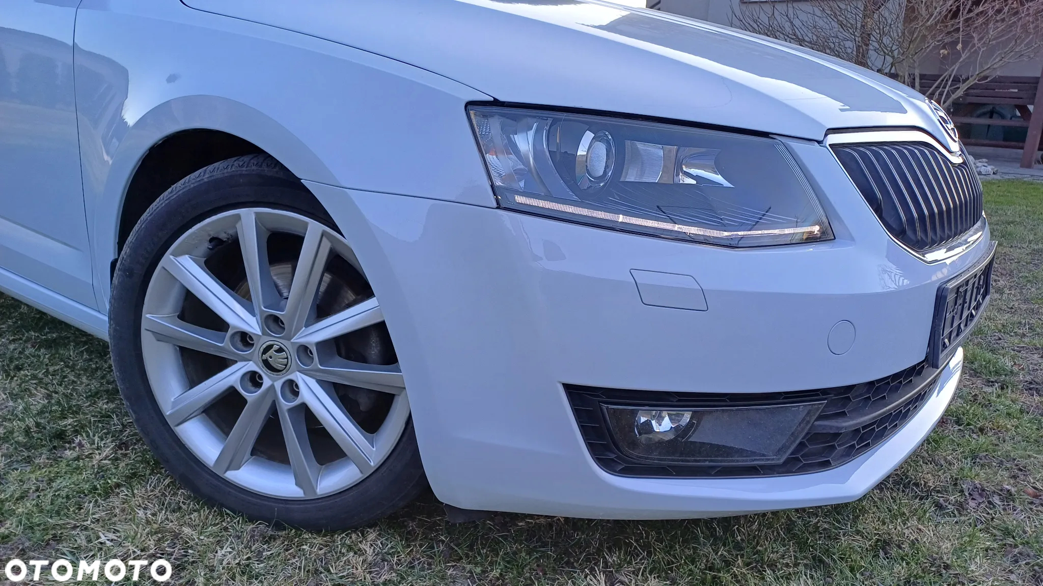 Volkswagen Passat - 2