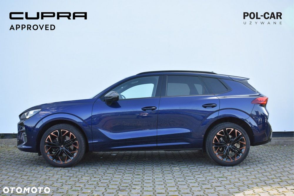 Cupra Terramar - 4