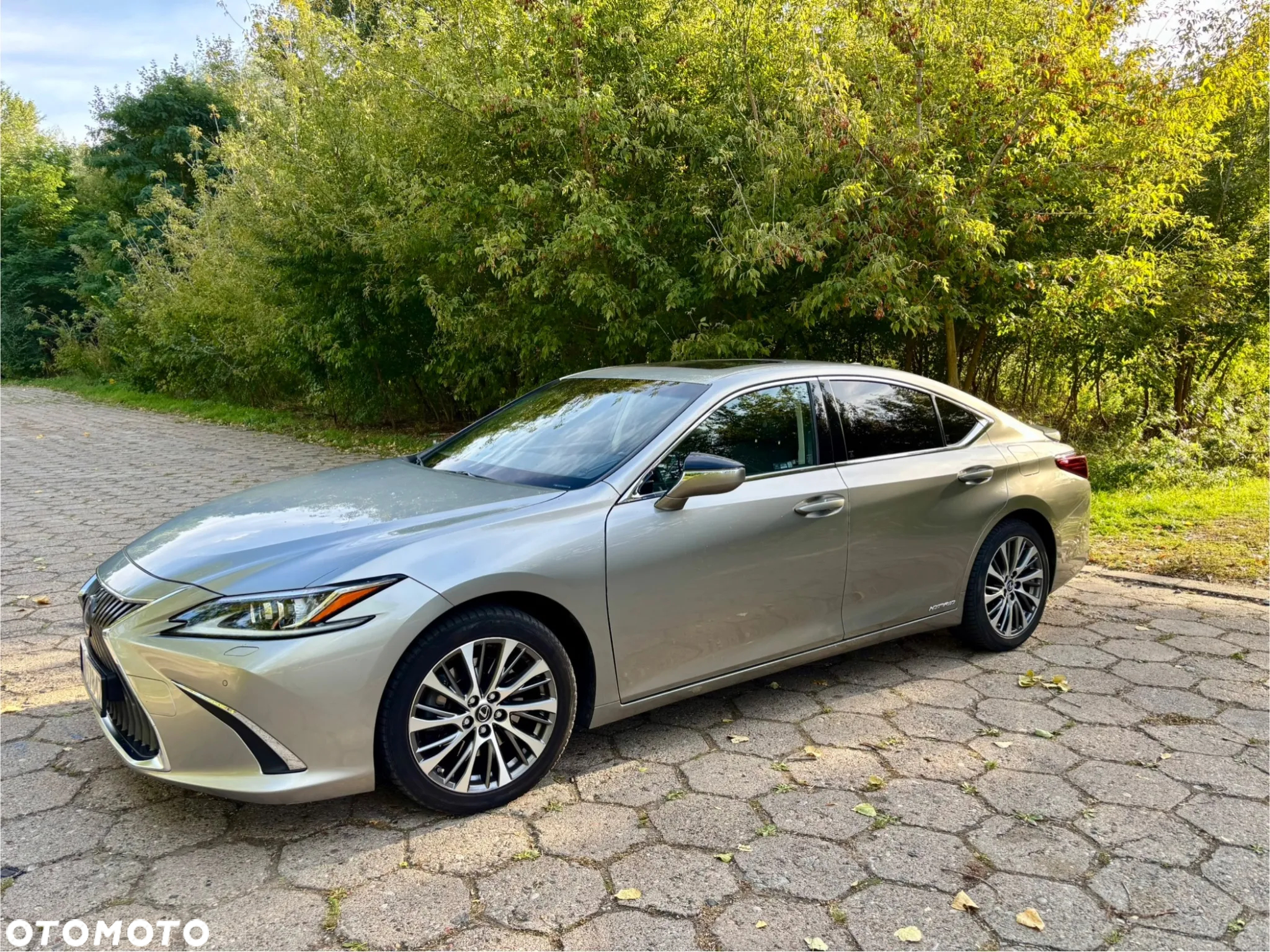 Lexus ES 300h Business Edition + - 2