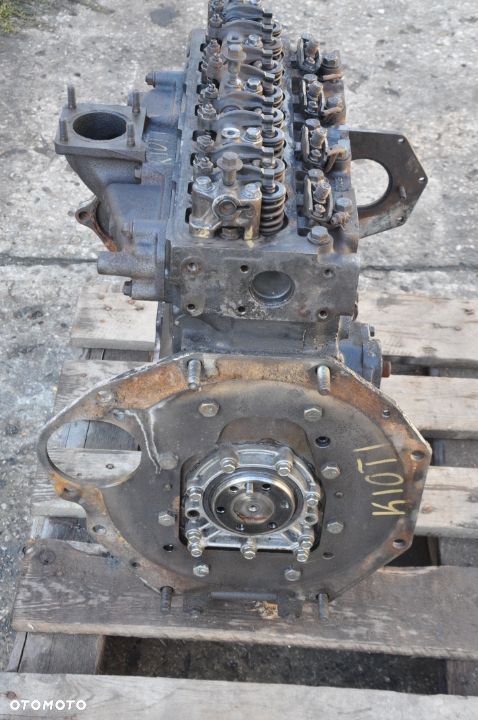SILNIK KIOTI NR 4TNE84 - 2