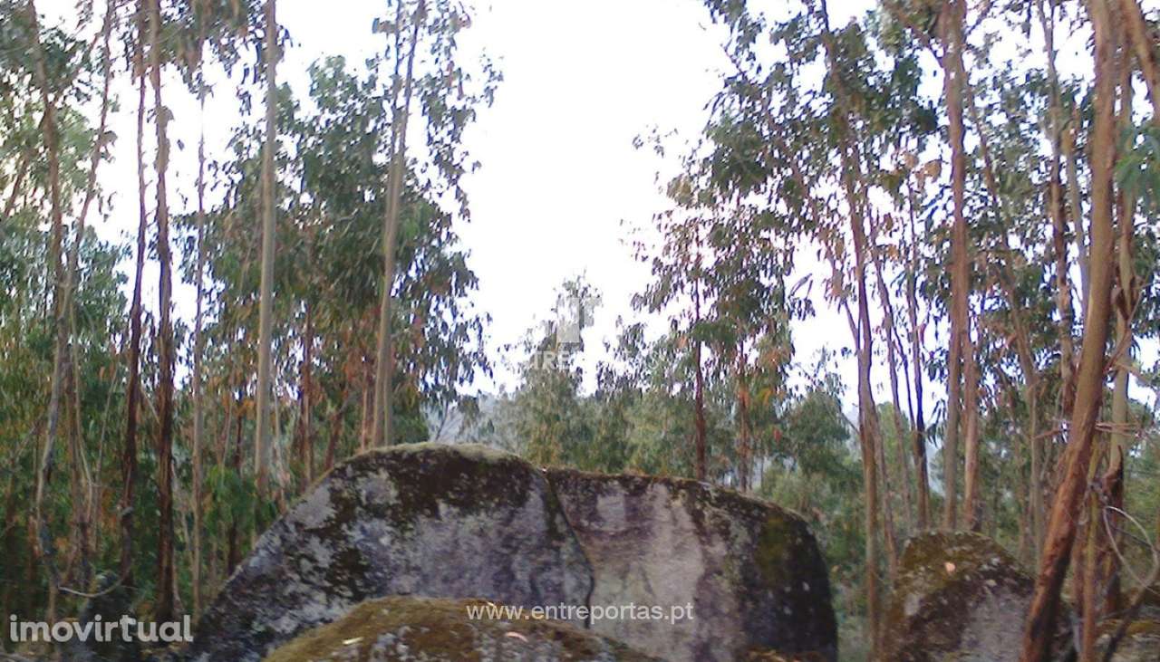 Venda Terreno, Vila Cova, Penafiel - Grande imagem: 3/16