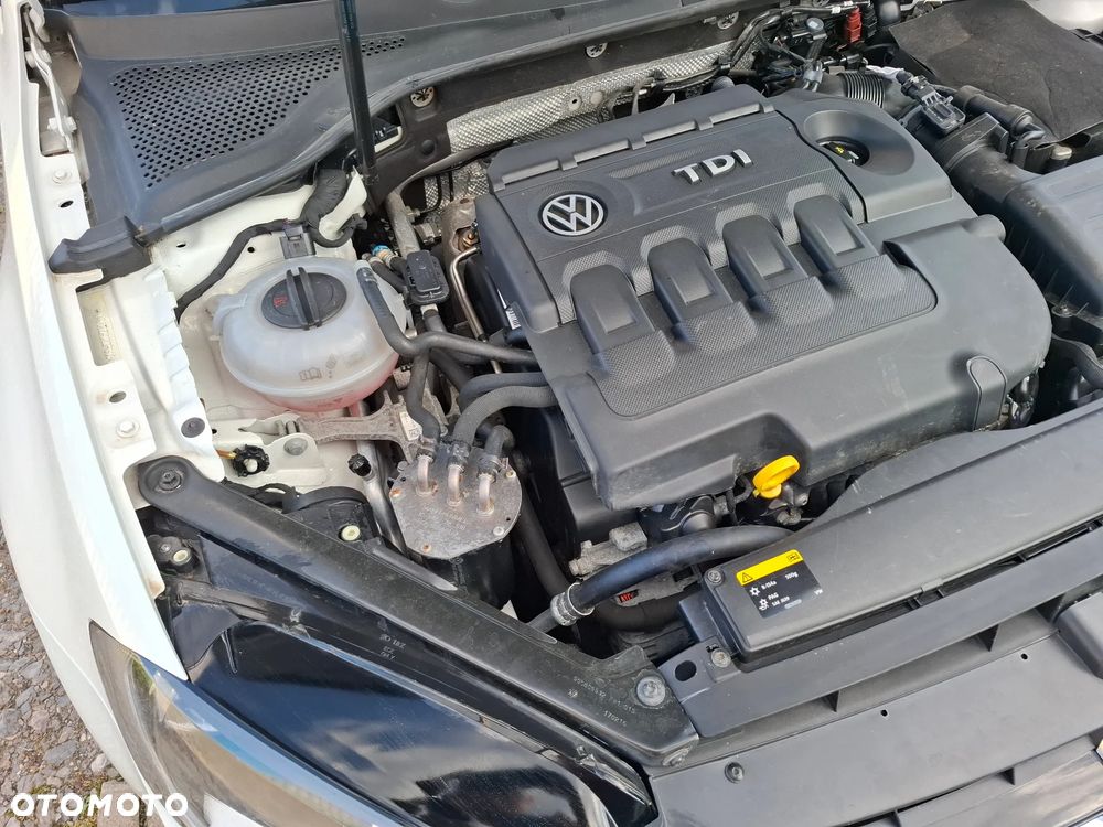 Volkswagen Golf - 25