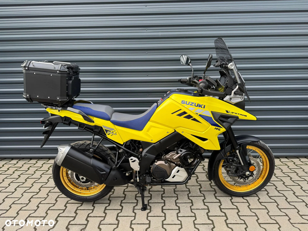 Suzuki DL