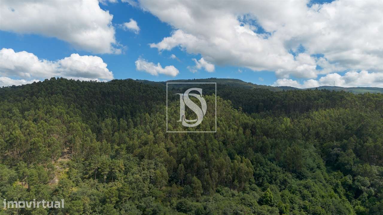 Terreno  Venda em Jazente,Amarante - Grande imagem: 5/21