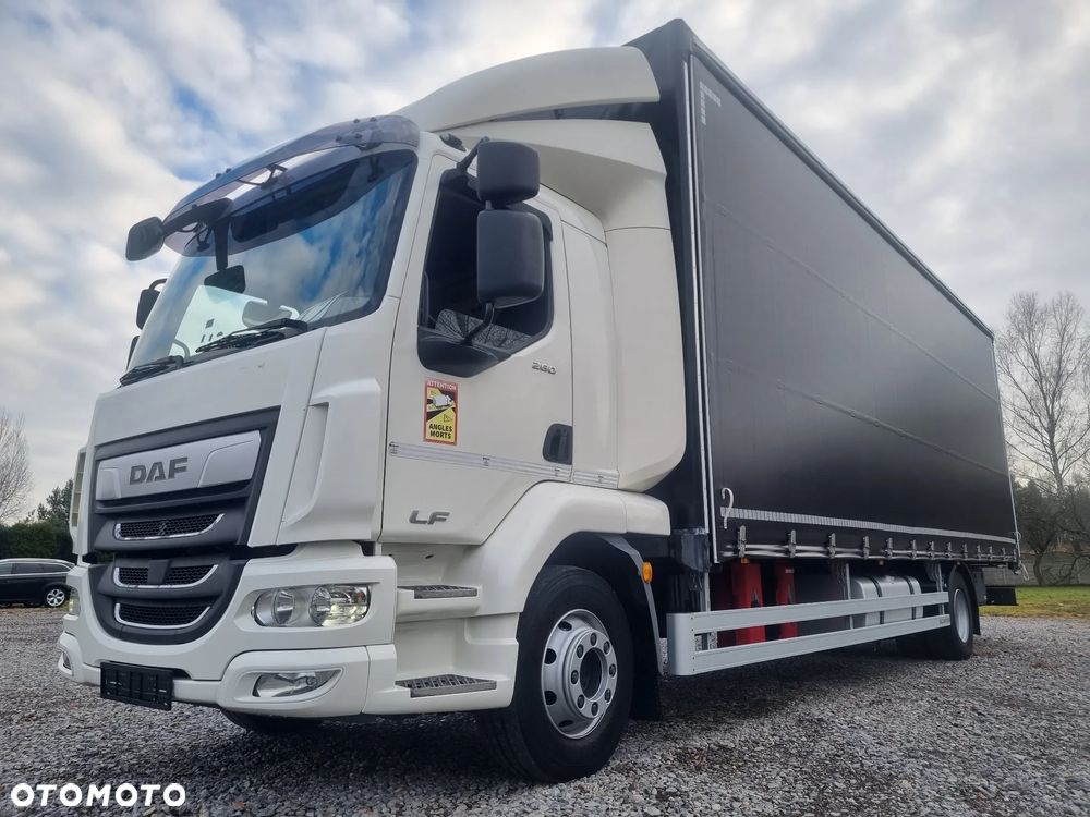 DAF LF 260 / EURO 6 / FIRANKA / 20 palet / 16000kg - 10