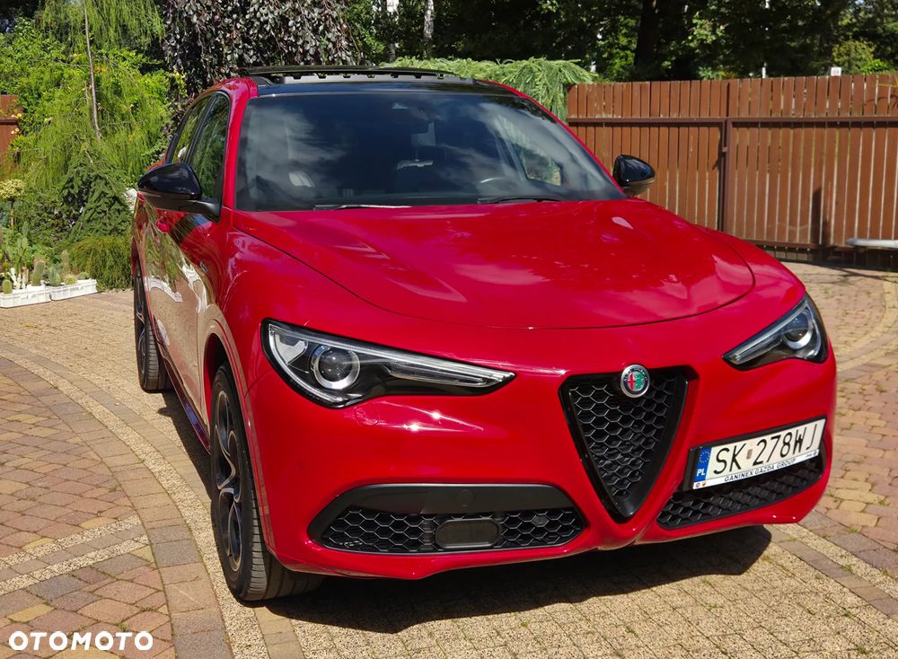 Alfa Romeo Stelvio 2.0 Turbo Veloce Q4 - 19