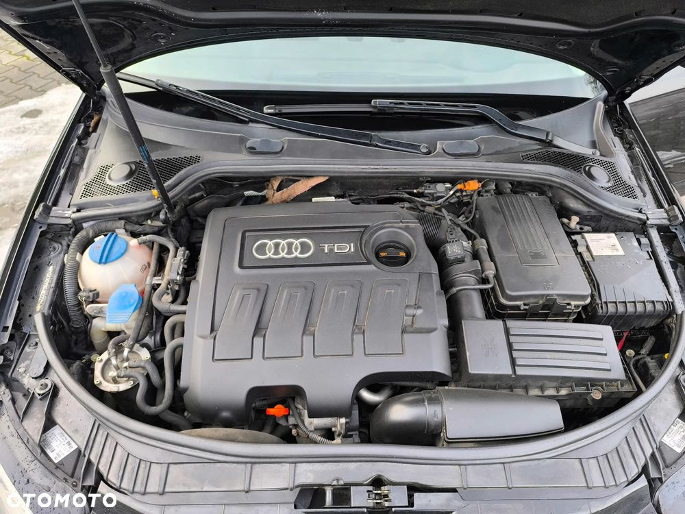 Audi A3 Sportback 1.6 TDI DPF Ambition - 19