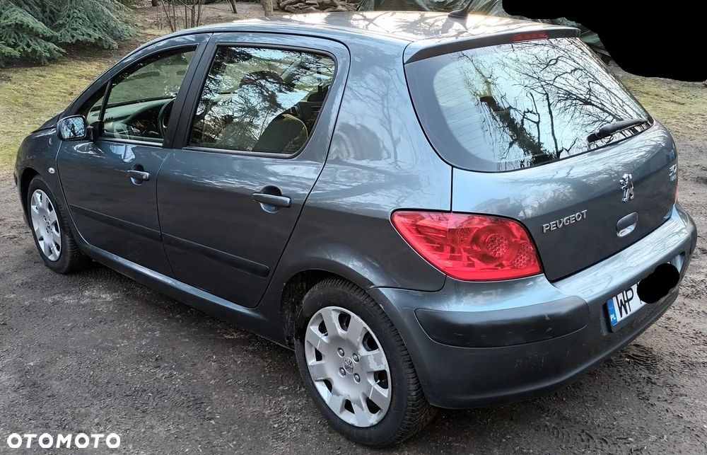 Peugeot 307 1.6 HDi - 5