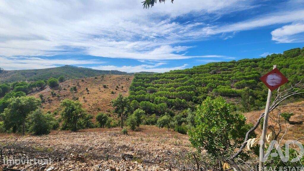 Terreno Agrícola em São Bartolomeu de Messines - Grande imagem: 4/30