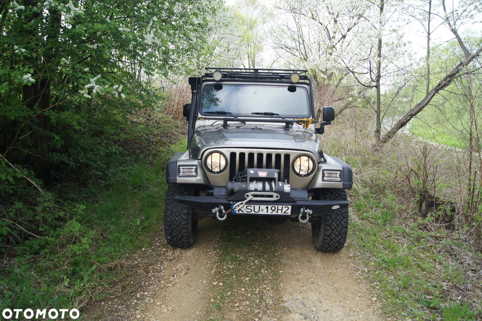 Jeep Wrangler - 6