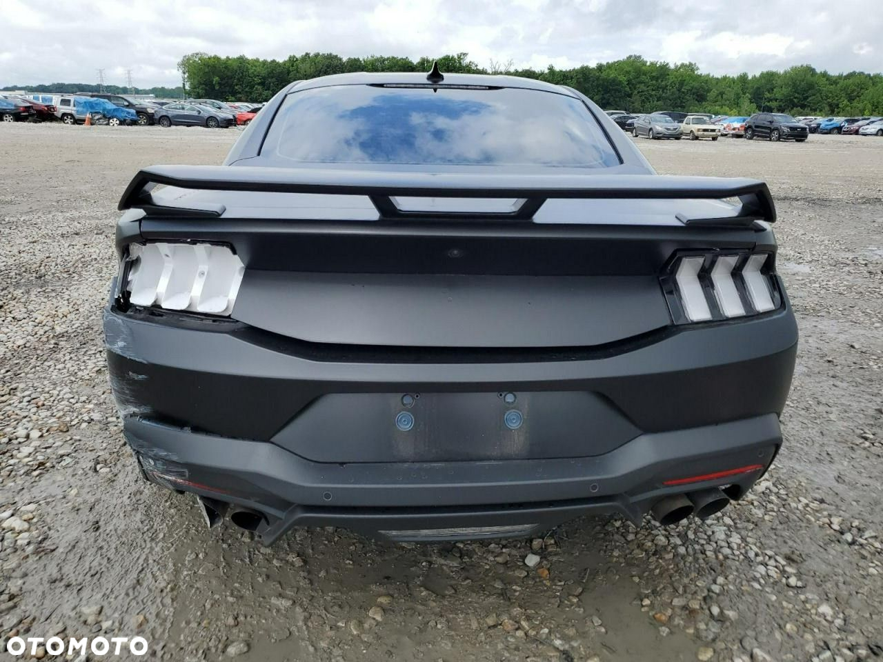 Ford Mustang - 6