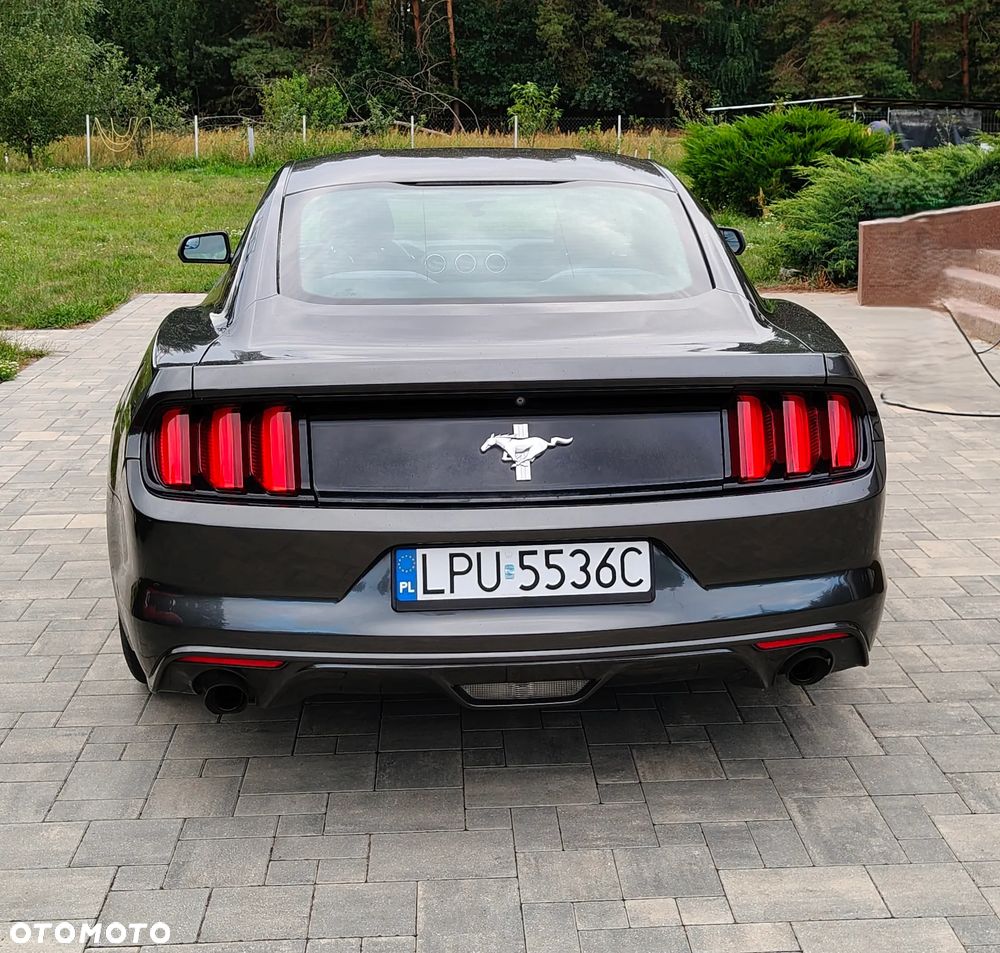 Ford Mustang - 5