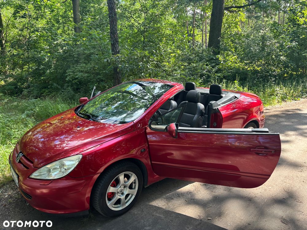 Peugeot 307 - 17