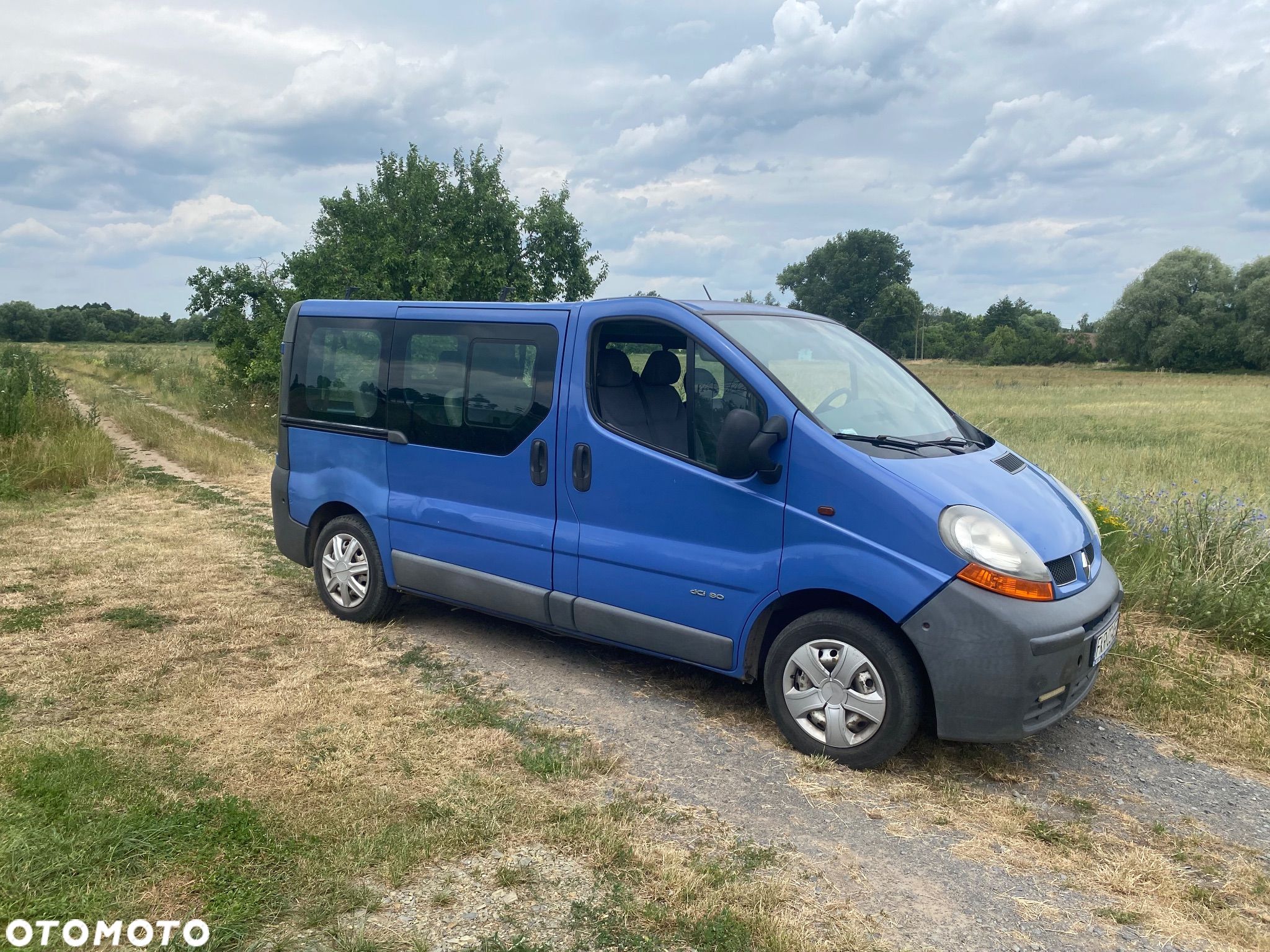 Renault Trafic - 1