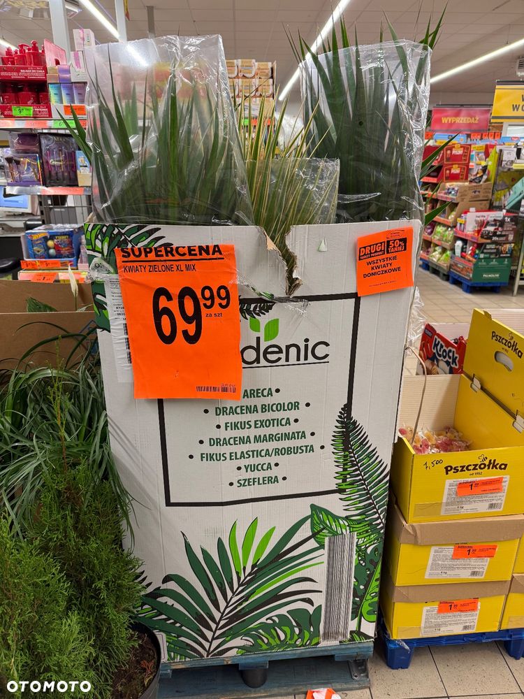 Citroën C-Crosser 2.2 HDi Exclusive DCS - 6