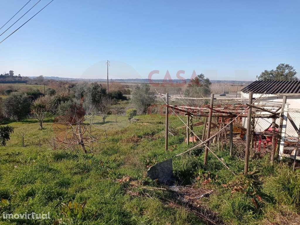 Terreno para construção - Grande imagem: 3/6