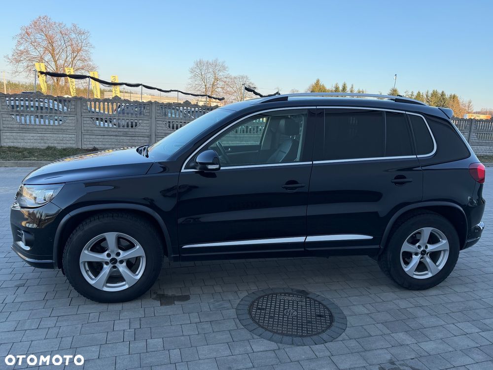 Volkswagen Tiguan - 17