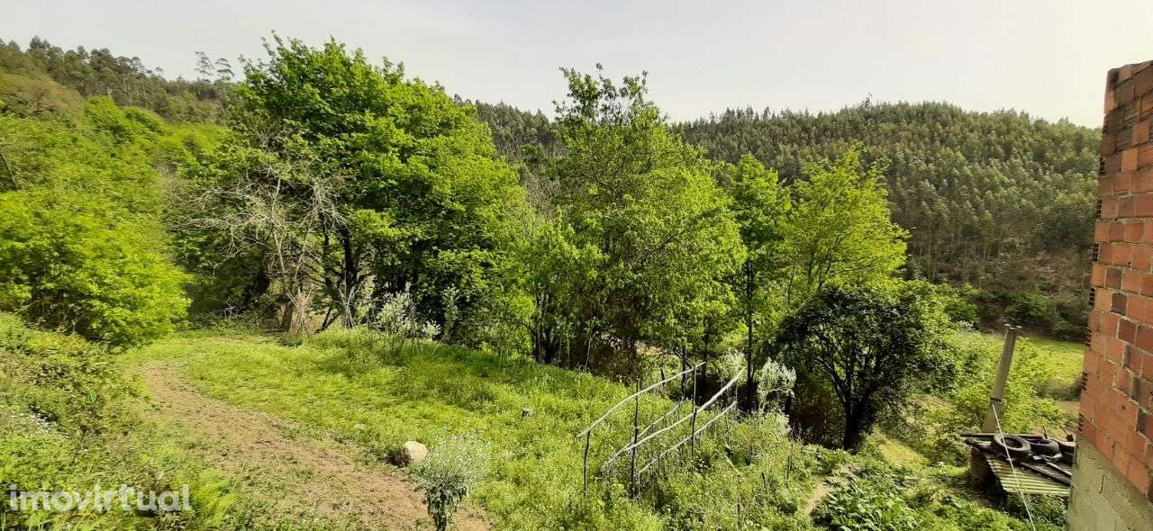 Terrenos – Sever do Vouga - Grande imagem: 5/30