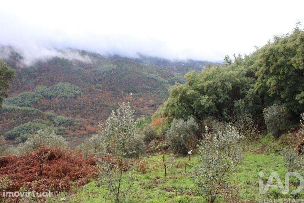 Terreno Agrícola em Sandomil - Grande imagem: 5/7