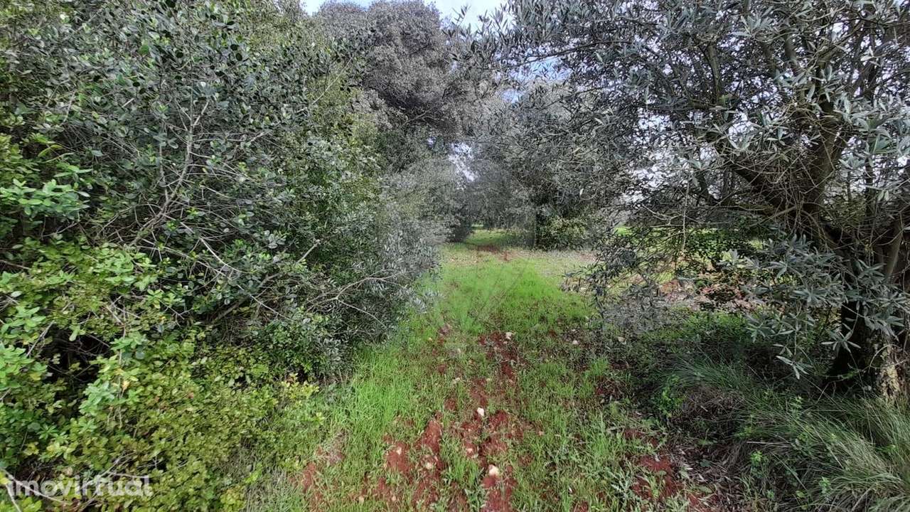 Terreno  para venda - Grande imagem: 5/35