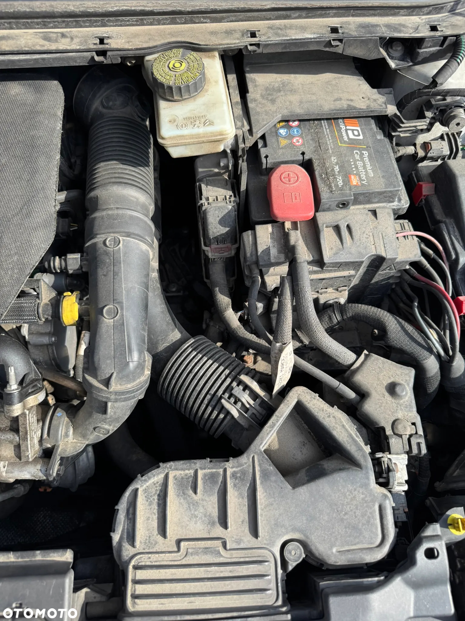 Peugeot 308 - 34