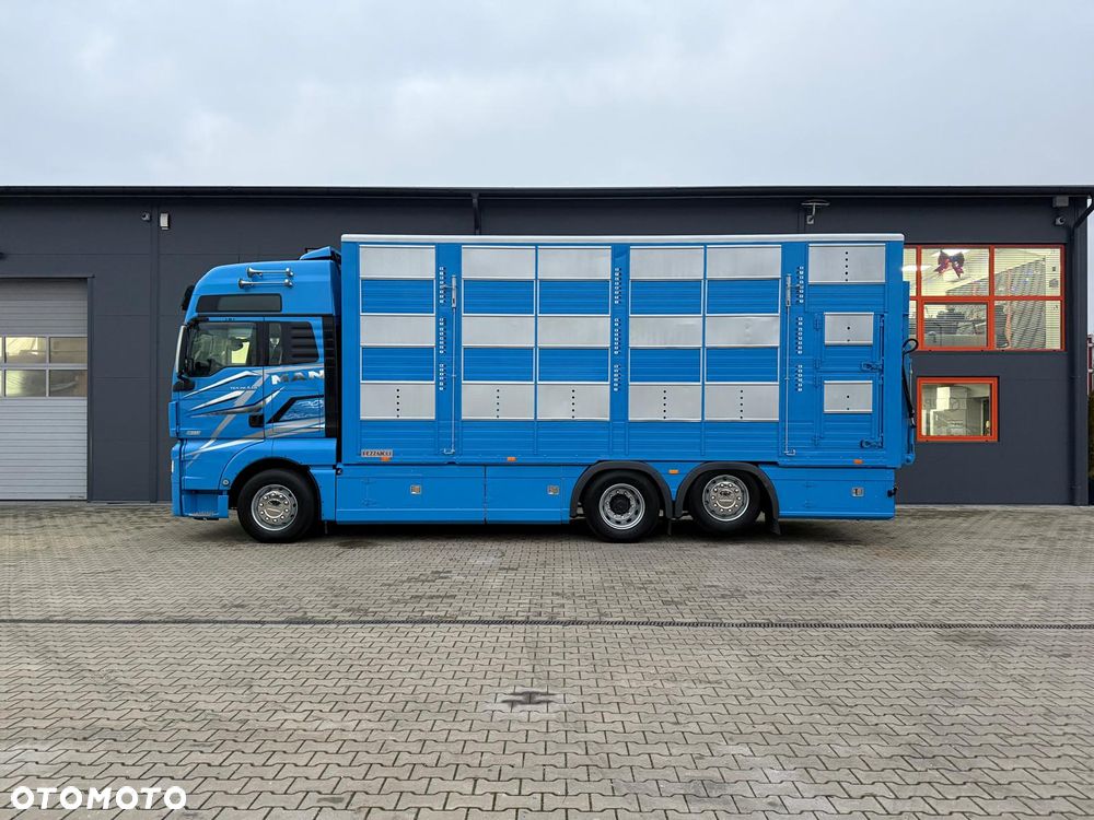 MAN TGX 26.540 // E6 // Zabudowa PEZZAIOLI // 3 poziomy hydraulika, podnoszony dach, rampa hydrauliczna // do żywca, do bydła, do transportu zwierząt - 5