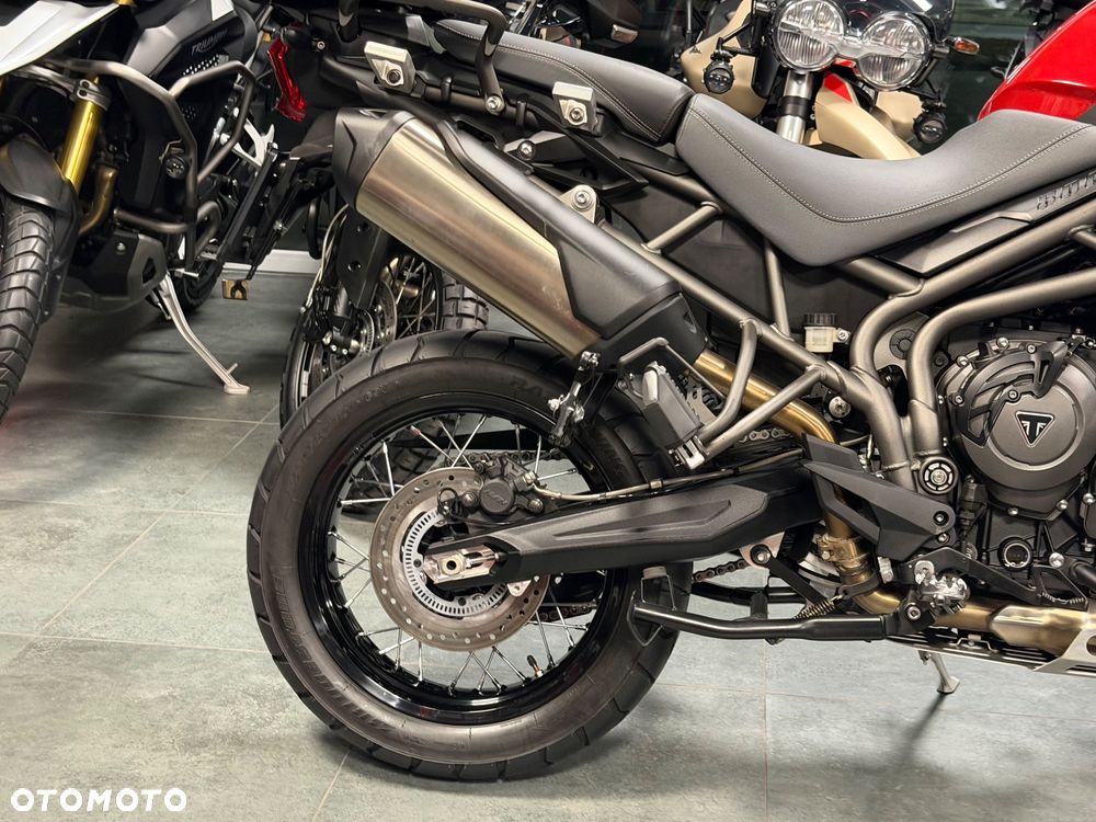 Triumph Tiger - 6