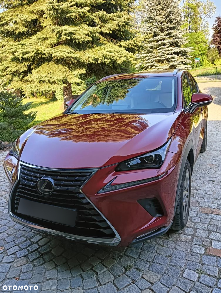 Lexus NX ver-300h-business-edition-awd - 11