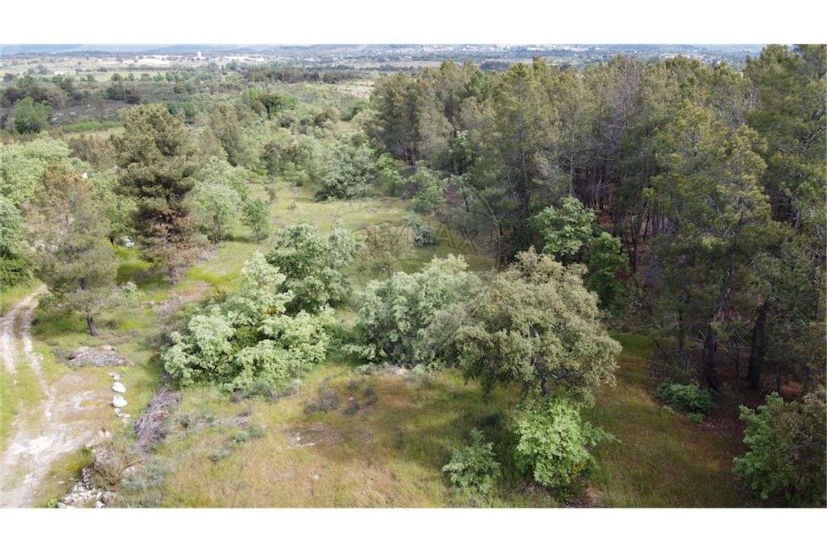 Quinta T0 para venda - Grande imagem: 4/45