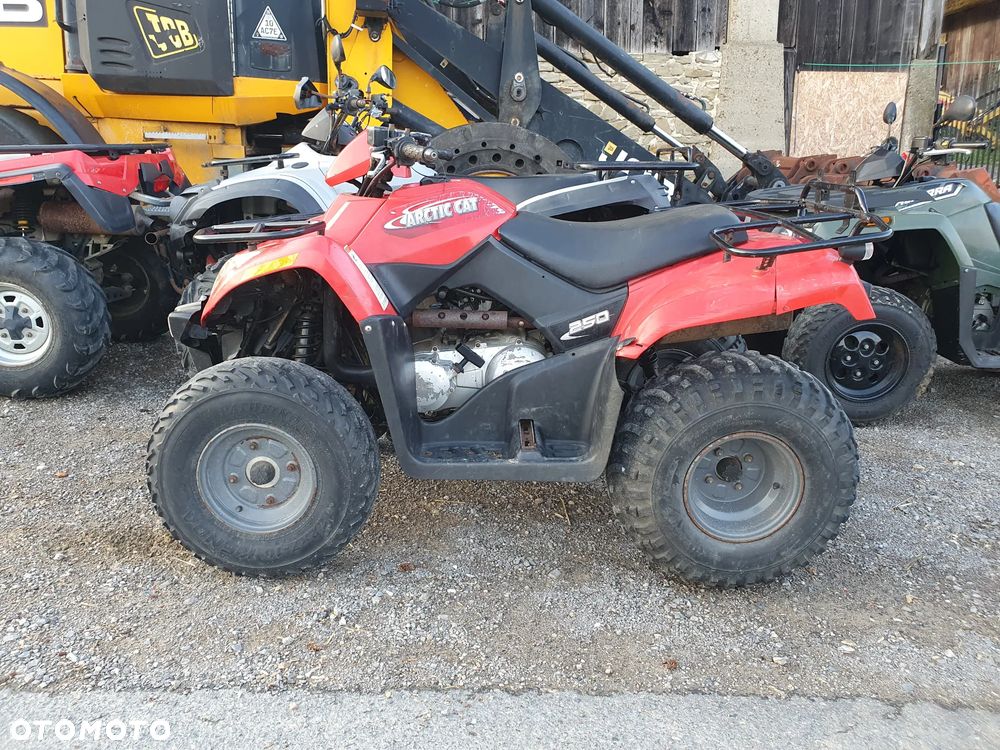 Arctic Cat