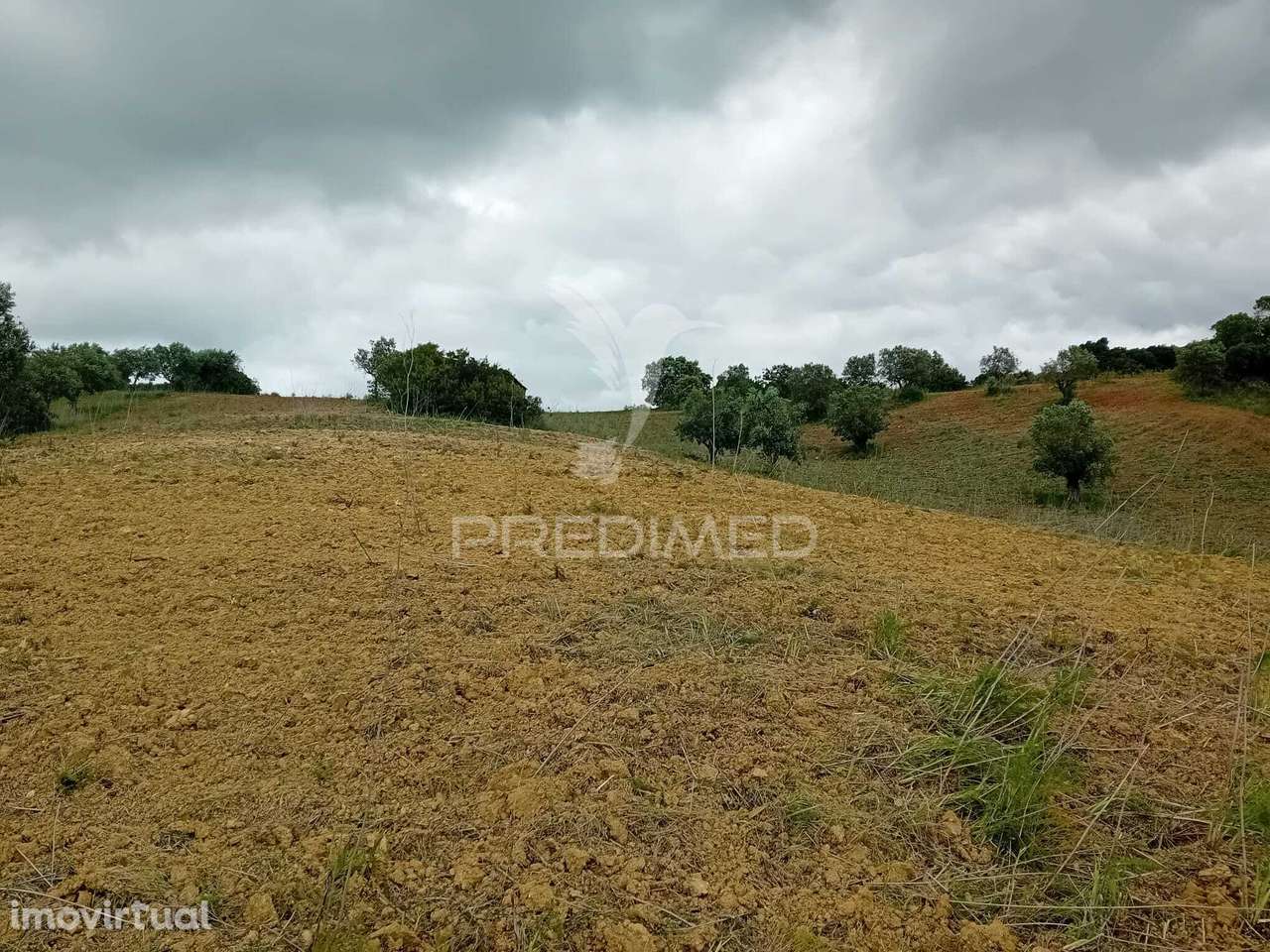Terreno Rústico Pernes - Grande imagem: 2/4