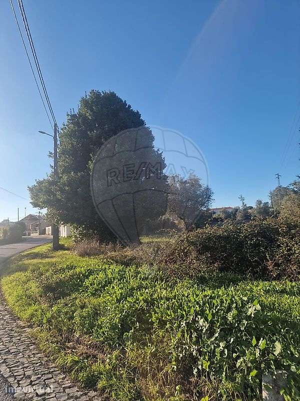Terreno  para venda - Grande imagem: 2/5