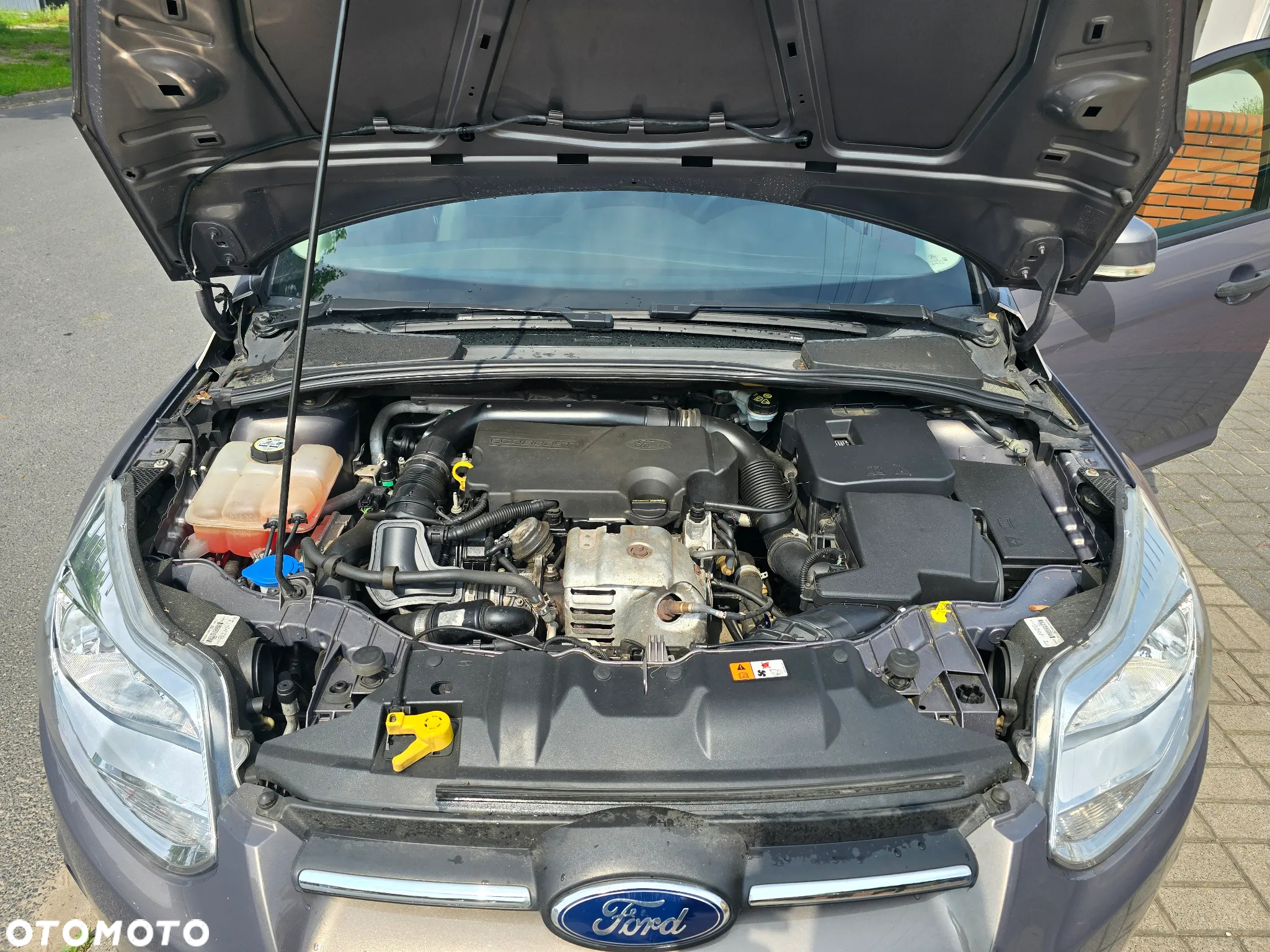 Ford Focus 1.0 EcoBoost 99g Trend - 20