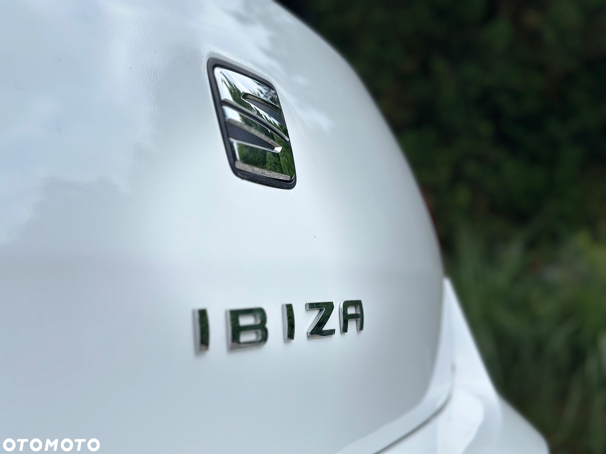 Seat Ibiza - 13