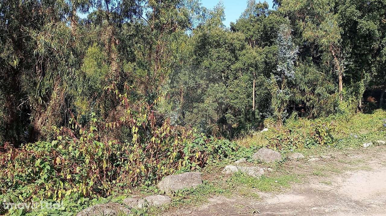 Terreno  para venda - Grande imagem: 2/4