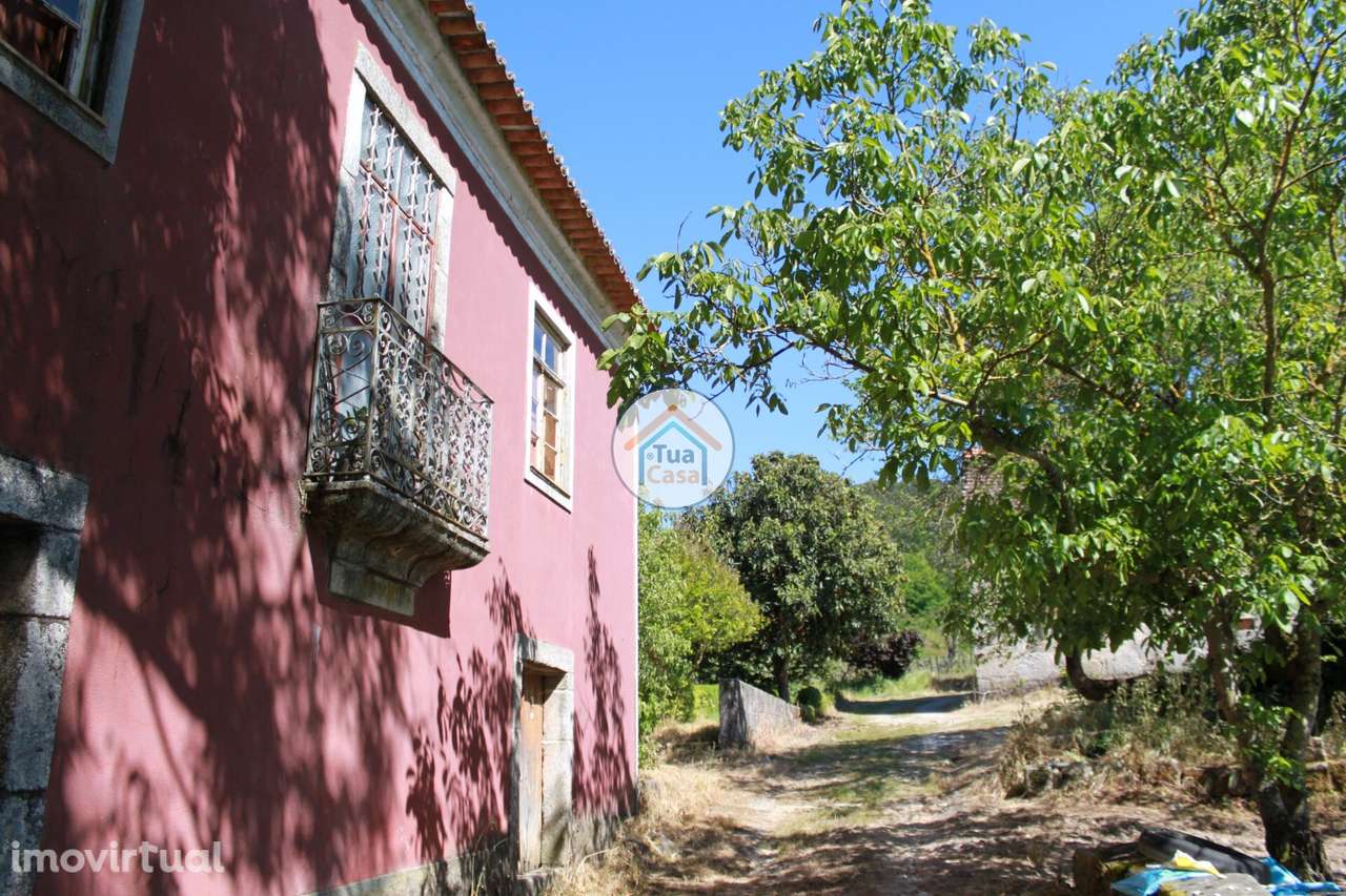 Quinta T5 Senhorial no Rio Dão - Grande imagem: 3/29