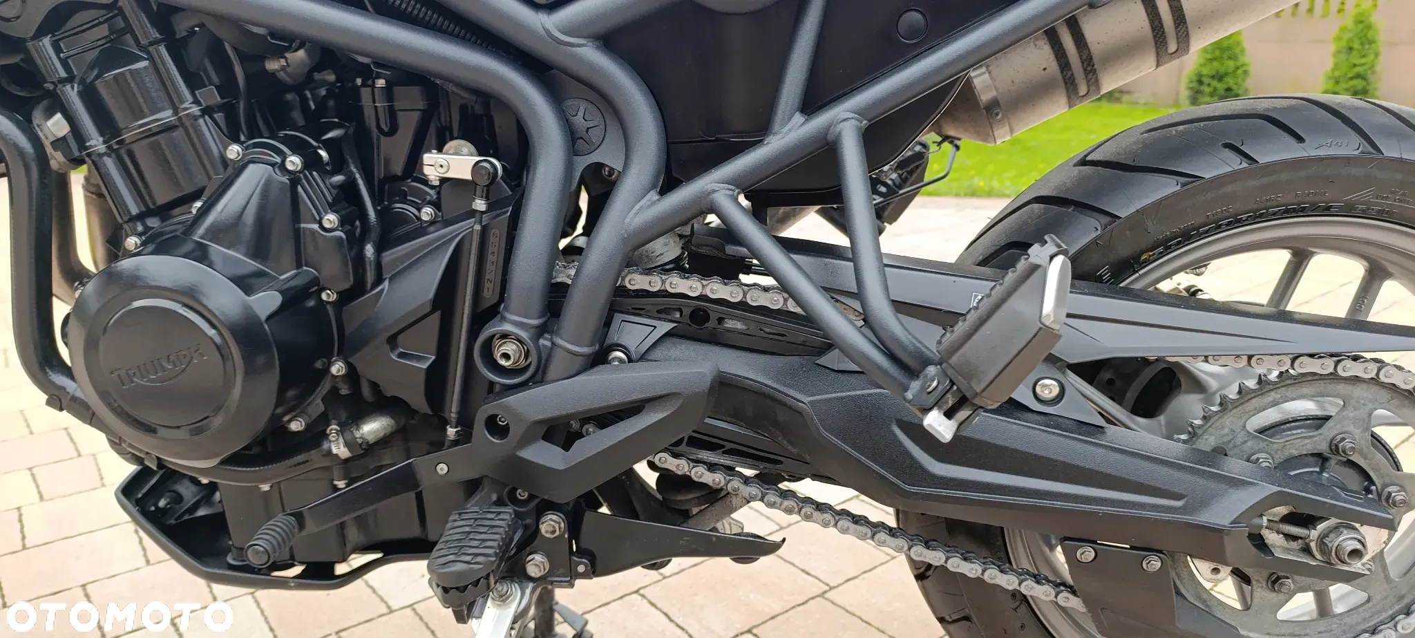 Triumph Tiger - 33