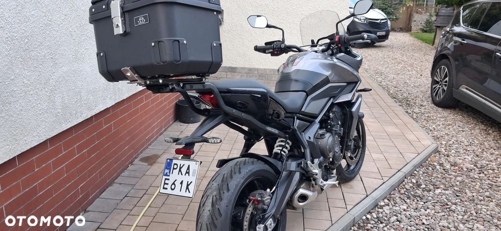 Triumph Tiger - 25