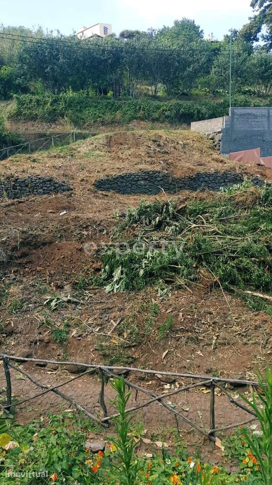 Terreno rústico com 450m² em Gaula, Santa Cruz, Madeira - Grande imagem: 3/9