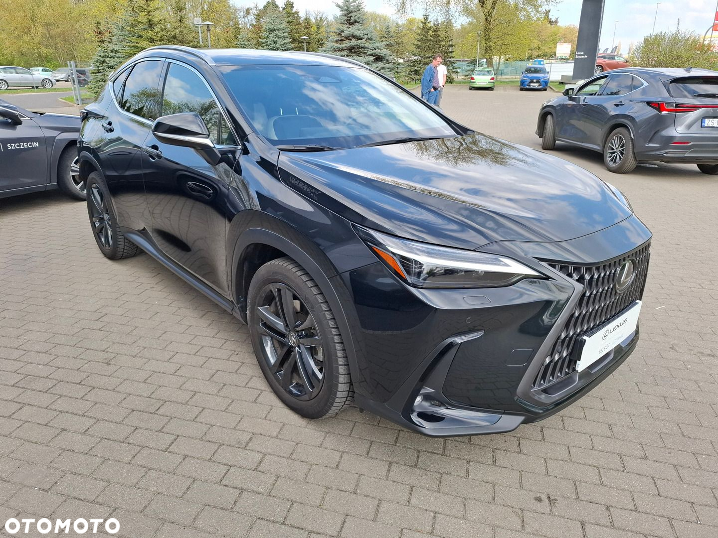 Lexus NX - 7