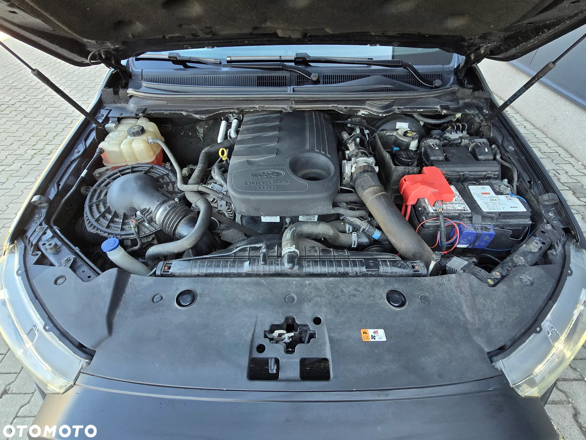 Ford Ranger Autm Wildtrak - 19