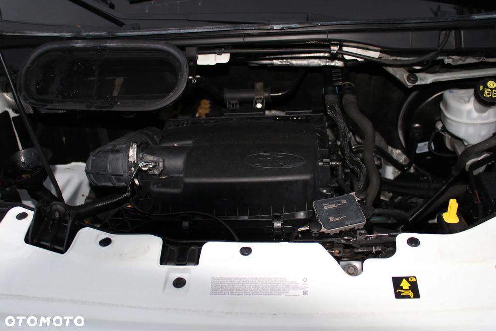 Ford Transit - 25