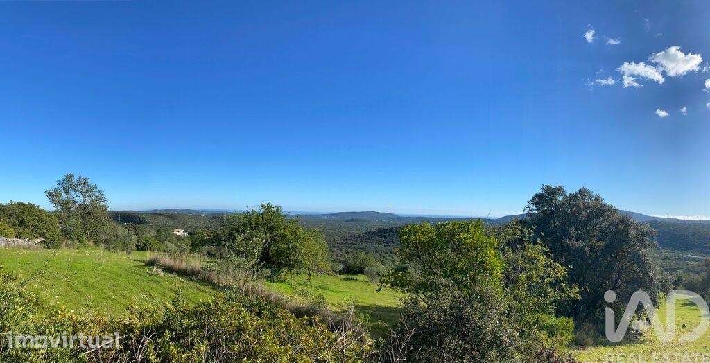 Terreno Agrícola em São Brás de Alportel de 7280,00 m2
