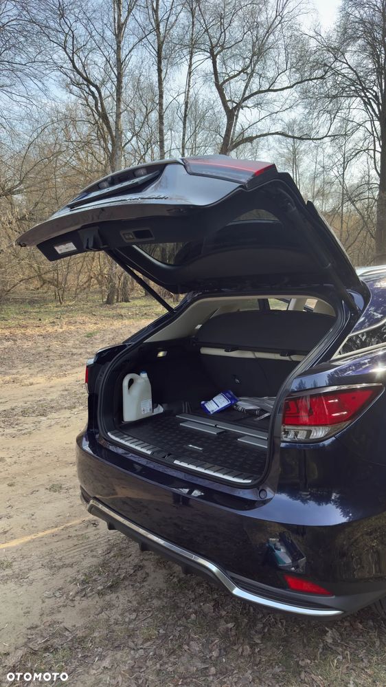 Lexus RX 450h F-Impression - 8